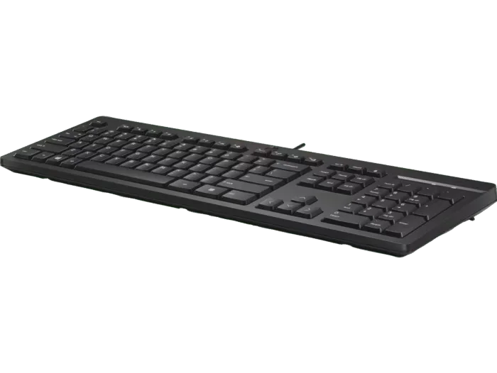 TECLADO HP 125 WIRED KEYBOARD TECLADO, vista 3