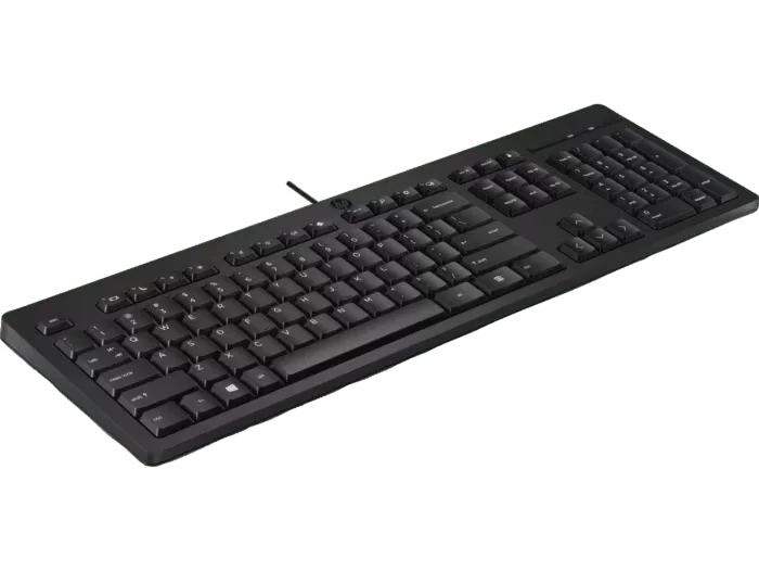 TECLADO HP 125 WIRED KEYBOARD TECLADO